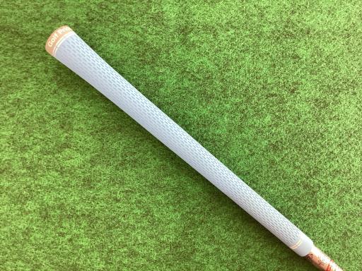 �p���P�O�@�l�`�w�@�T�v�@���f�B�[�X