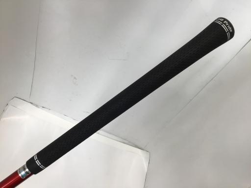 �q�l�w�@�u�c�^�l�i�Q�O�Q�S�j�@�P�O�D�T°