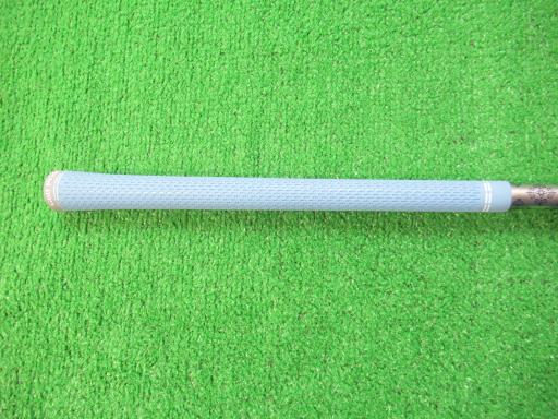 �p���P�O�@�l�`�w�@�T�v�@���f�B�[�X