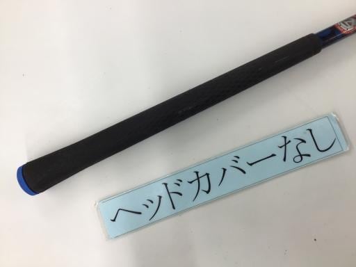 �p���P�O�@�T�v