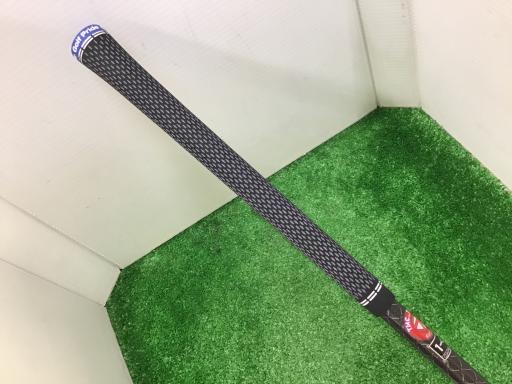 �p���P�O�@�T�v