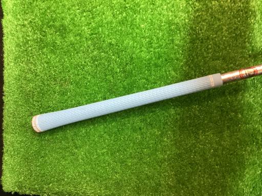 �p���P�O�@�l�`�w�@�T�v�@���f�B�[�X