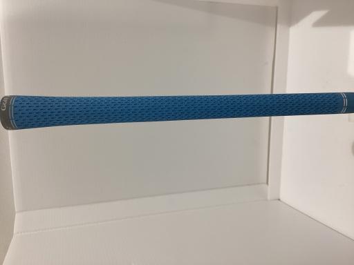 �p���P�O�@�l�`�w�@�T�v�@���f�B�[�X