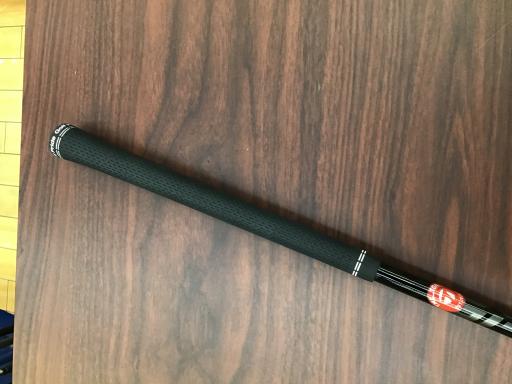 �p���P�O�@�T�v