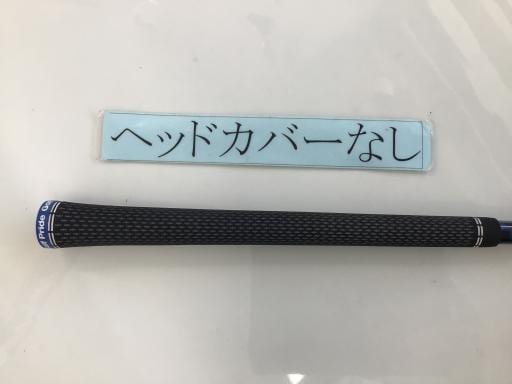 �p���P�O�@�T�v