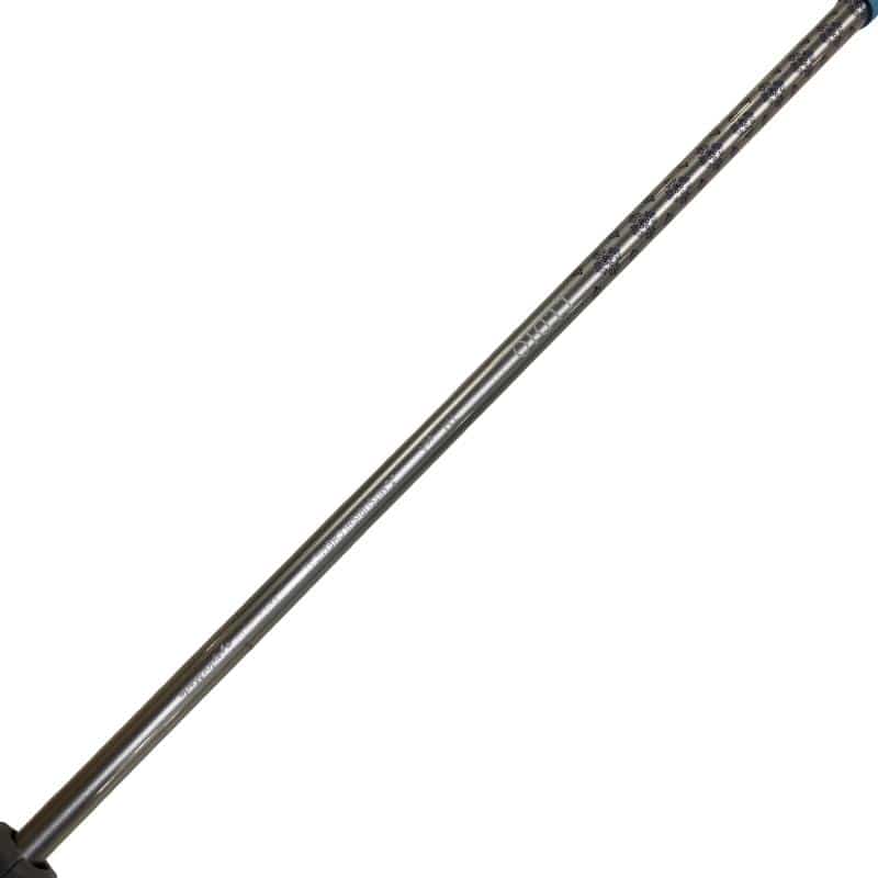 �p���P�O�@�l�`�w�@�t�T�@���f�B�[�X