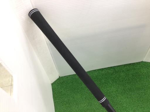 ＮＥＸＧＥＮ　ＮＳ２５０　　９．５°