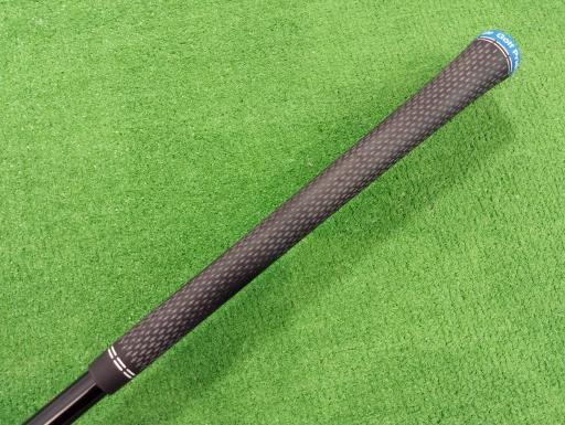 �p���P�O�@�T�v