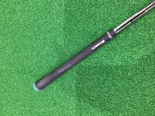 Ｄｏｌｐｈｉｎ　Ｗｅｄｇｅ　ＤＷ－１２５Ｇ　シルバー　５６°