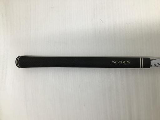 ＮＥＸＧＥＮ　ＮＳ２１０　１０．５°