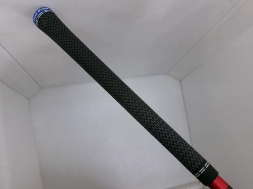 �p���P�O�@�T�v