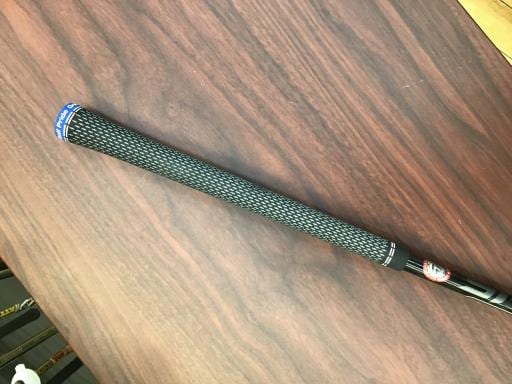 �p���P�O�@�T�v