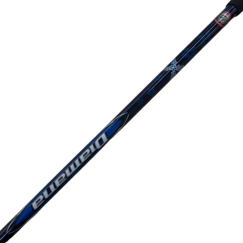 �p���P�O�@�T�v