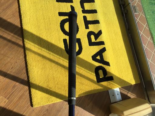 �p���P�O�@�T�v