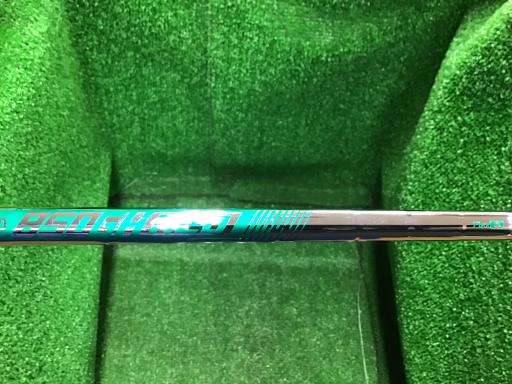 �q�n�f�t�d�@�r�s�@�l�`�w�@�e�`�r�s�@�V�r�i���{���F�U�{�Z�b�g�j