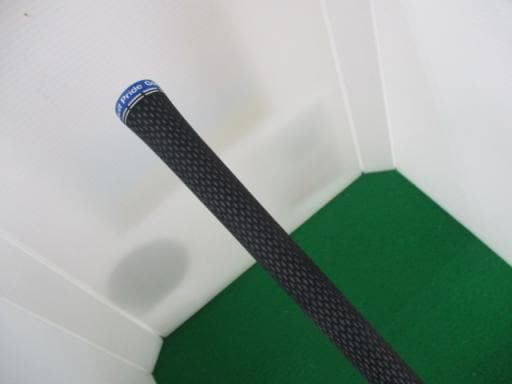 �p���P�O�@�T�v