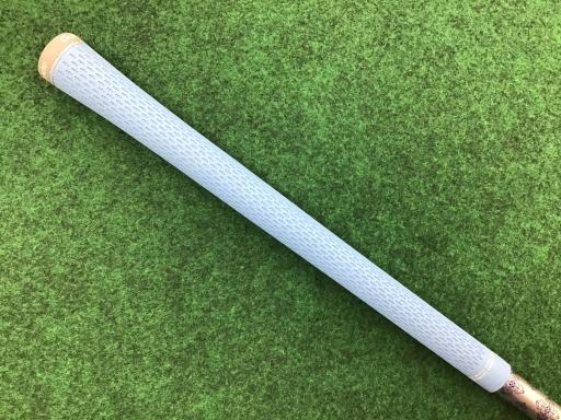 �p���P�O�@�l�`�w�@�T�v�@���f�B�[�X