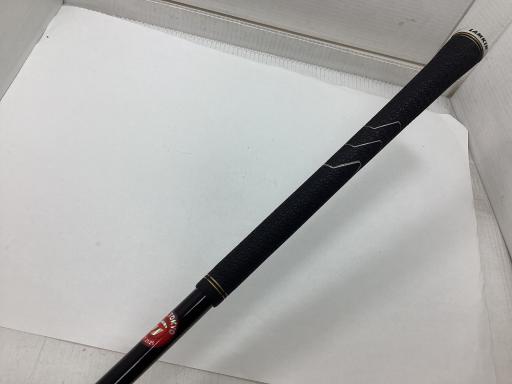 �p���P�O�@�l�`�w�@�P�O�D�T°