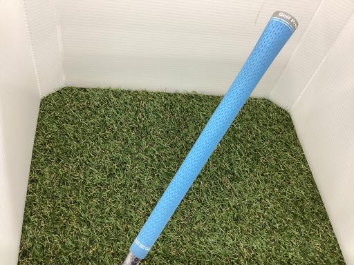 �p���P�O�@�l�`�w�@�t�U�@���f�B�[�X