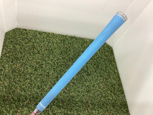 �p���P�O�@�l�`�w�@�t�T�@���f�B�[�X