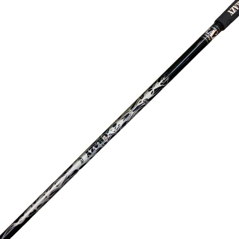 �b�q�y�@�S�T�O�@�P�v