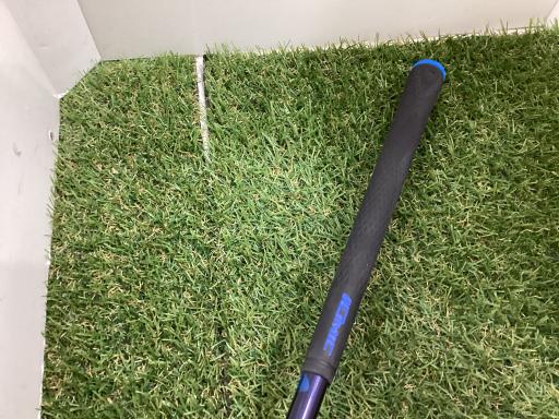 �p���P�O�@�T�v