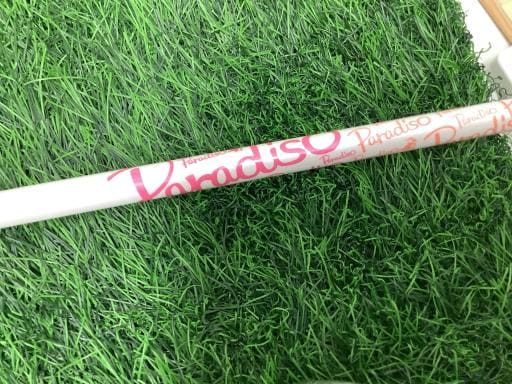 �o���������������@�b�k�i�Q�O�P�Q�j�@�T�r�@���f�B�[�X�i���{���F�S�{�Z�b�g�j