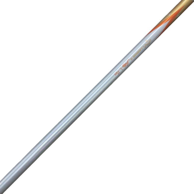 �����������i�Q�O�P�T�j�@�T�g�@���f�B�[�X