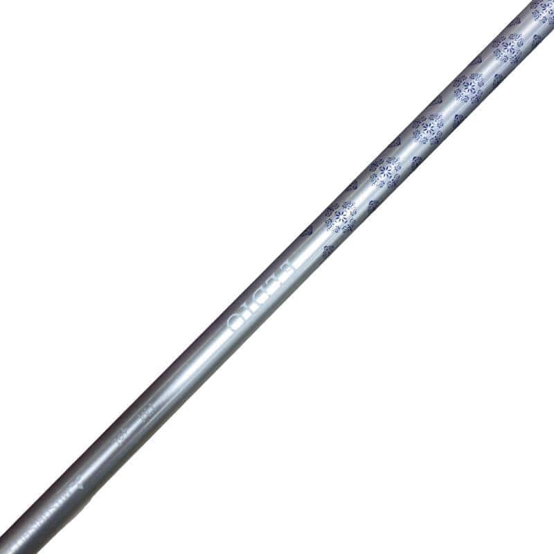 �p���P�O�@�l�`�w�@�T�v�@���f�B�[�X