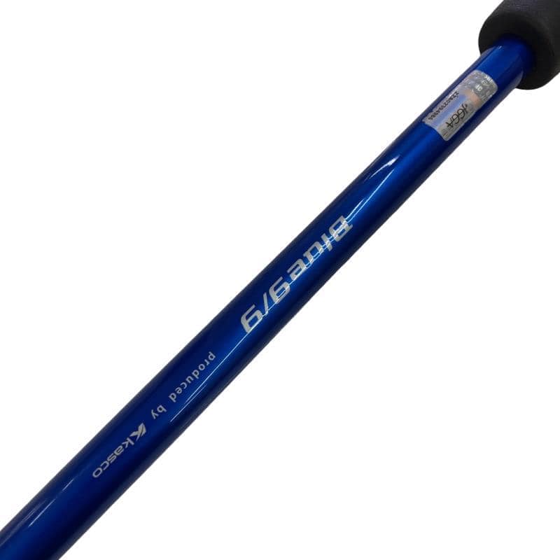 �a�������@�X�^�X�@�v�a�|�O�P�O�@�R�S�C���`