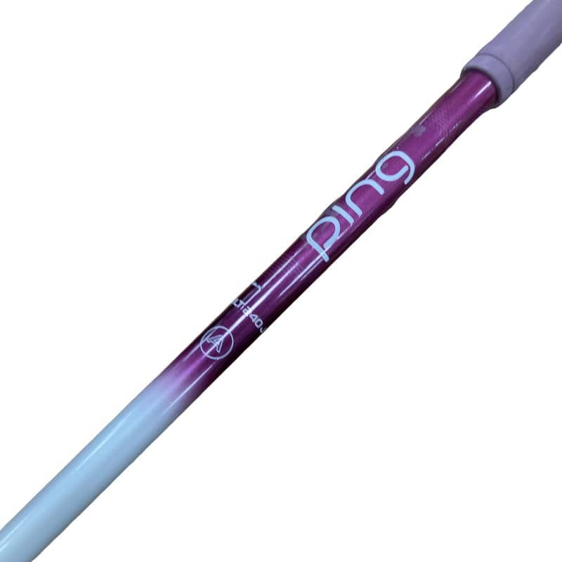 �f�@�k���Q�@�V�v�@���f�B�[�X