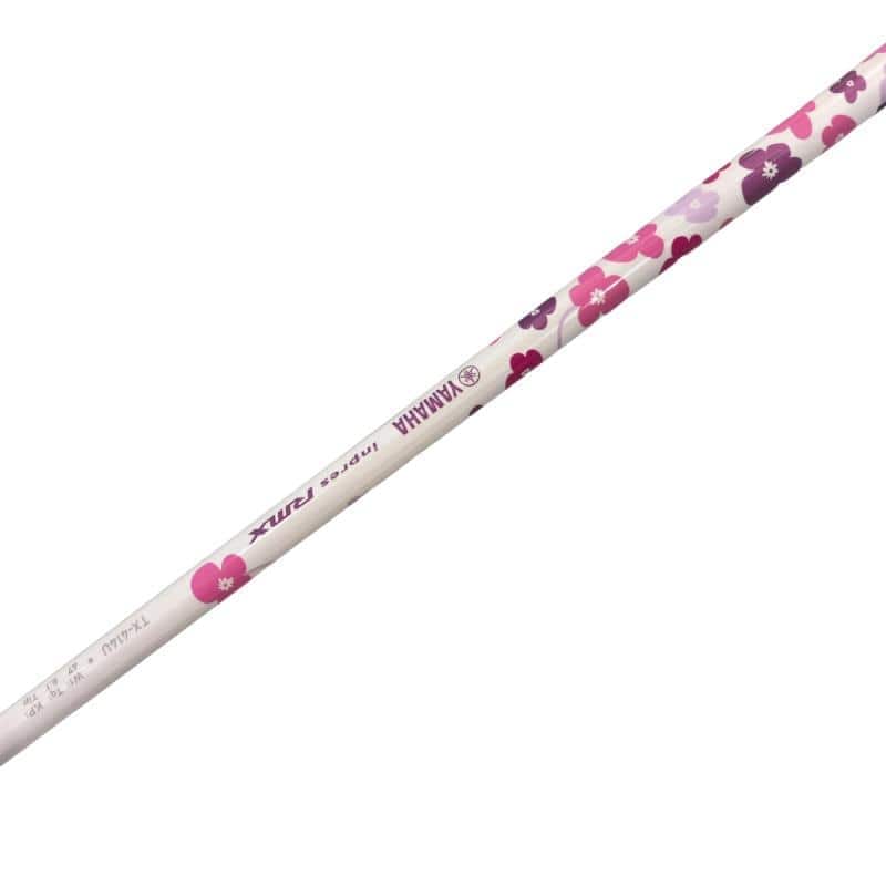 �������������@�q�l�w�@�t�S�{�@���f�B�[�X