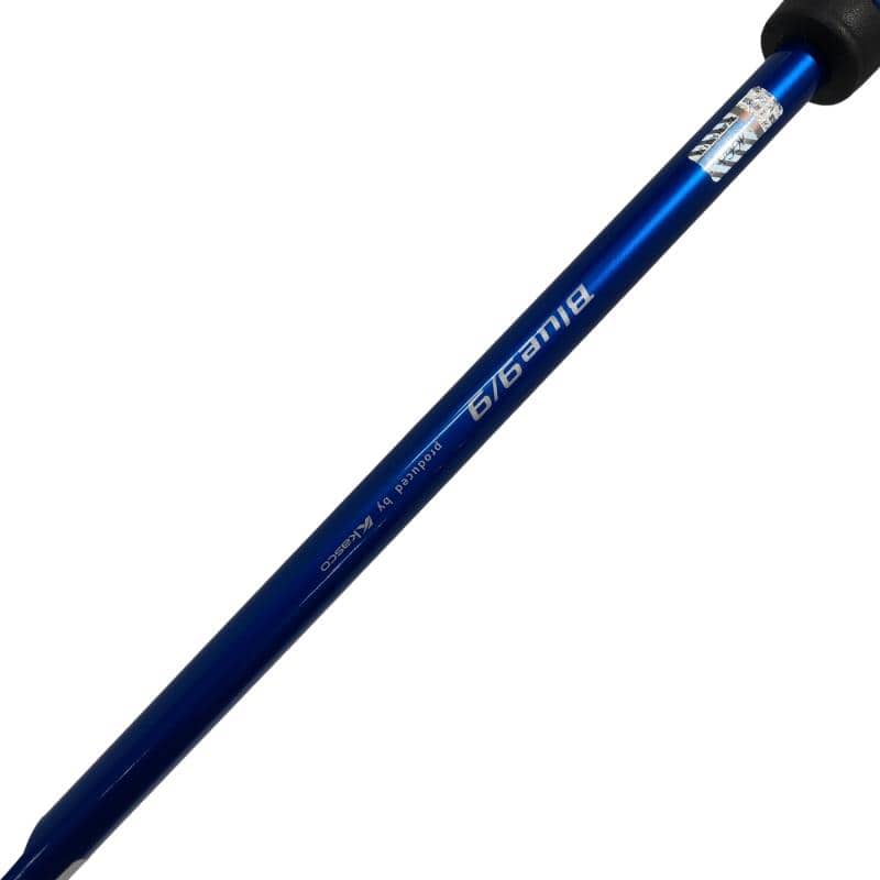 �a�������@�X�^�X�@�v�a�|�O�P�O�@�R�S�C���`