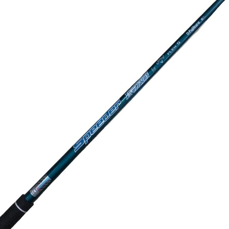 �q�n�f�t�d�@�r�s�`�q�@�T�v