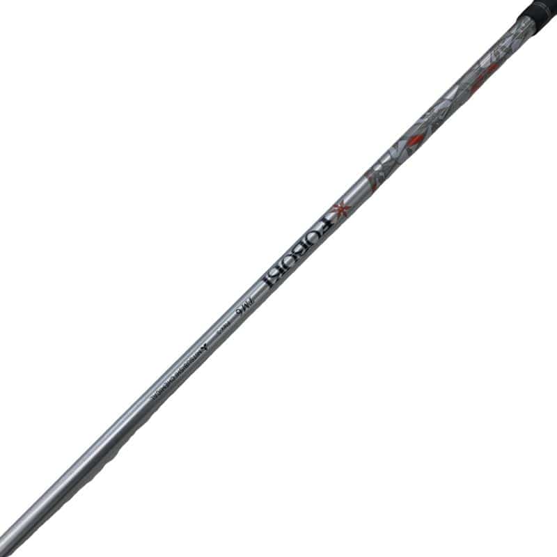 �u�q�Q�r�@���[�e�B���e�B�@�t�Q