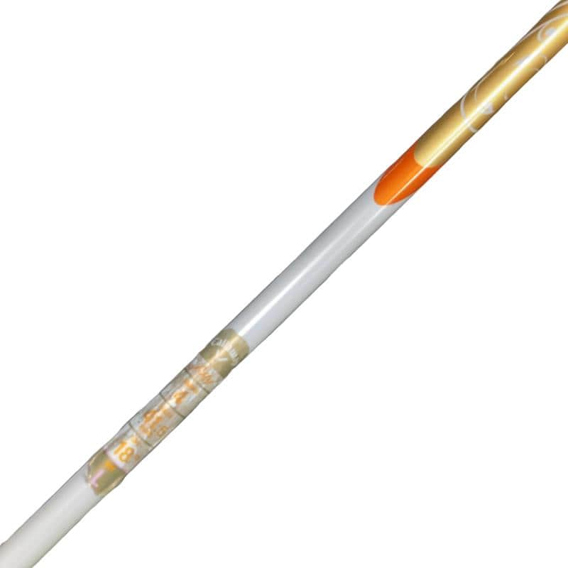 �����������i�Q�O�P�T�j�@�S�v�@���f�B�[�X