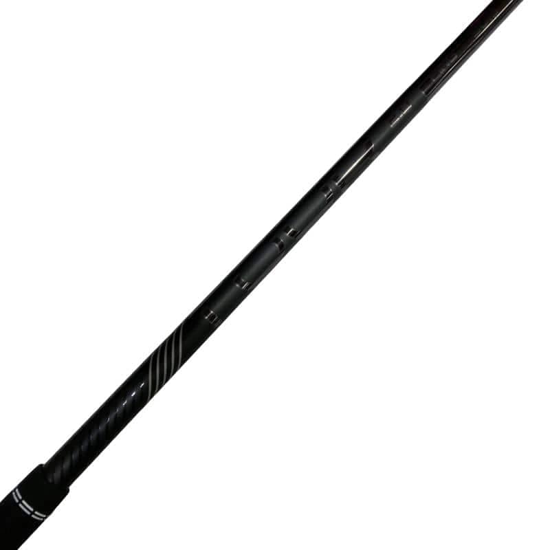 �f�S�S�O�@�t�S