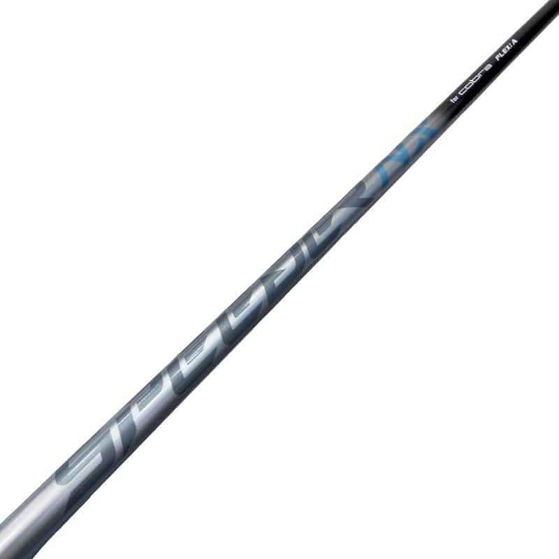 �����������@�`�d�q�n�i�d�s�@�t�V�@���f�B�[�X