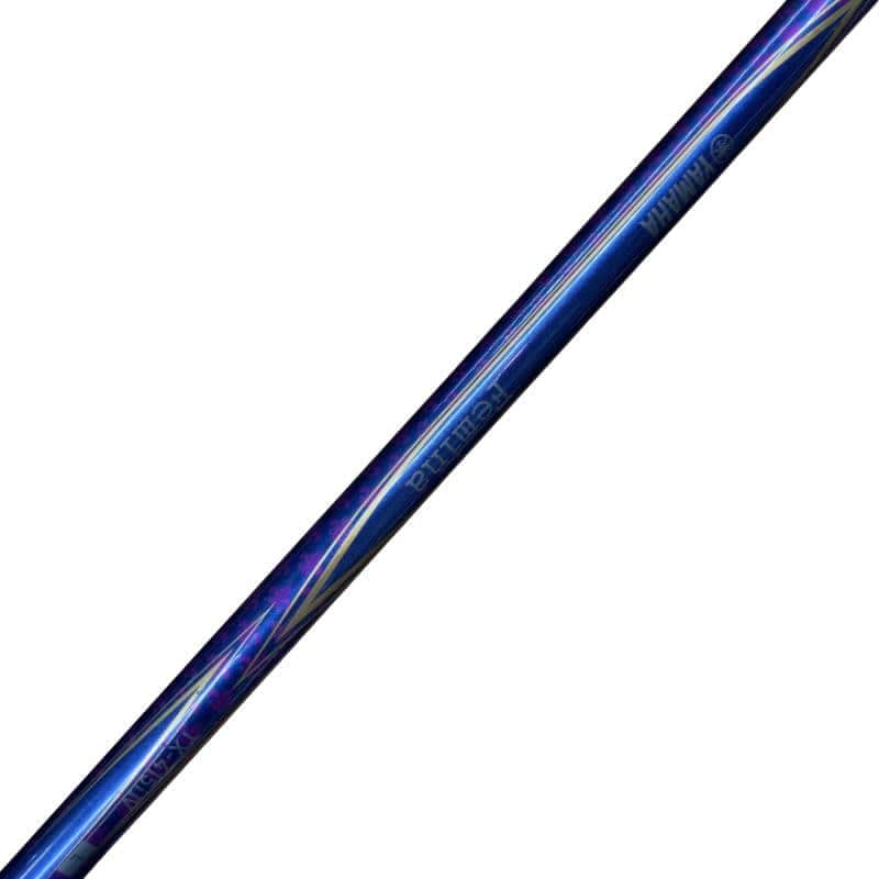 �e�����������i�Q�O�P�T�j�@�`�v�@���f�B�[�X