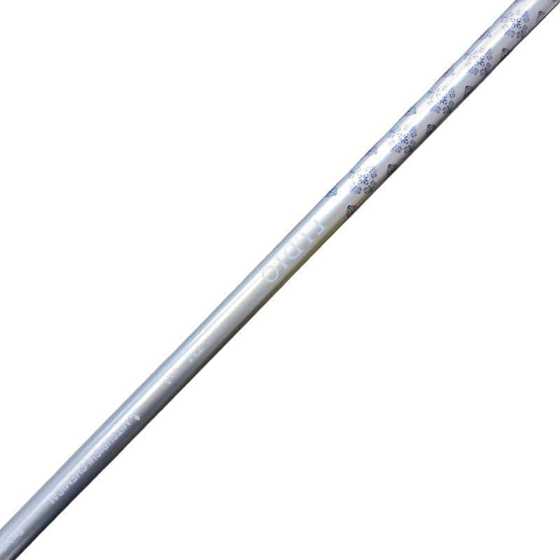 �p���P�O�@�l�`�w�@�T�v�@���f�B�[�X