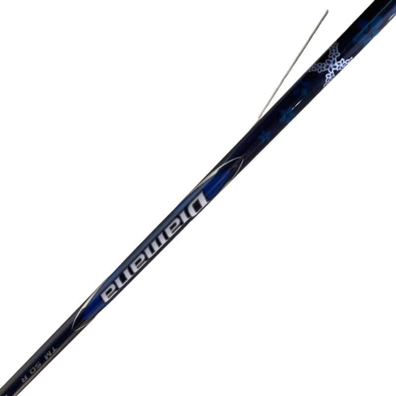 �p���P�O�@�T�v