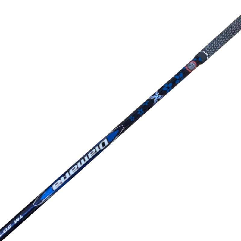 �p���P�O�@�T�v