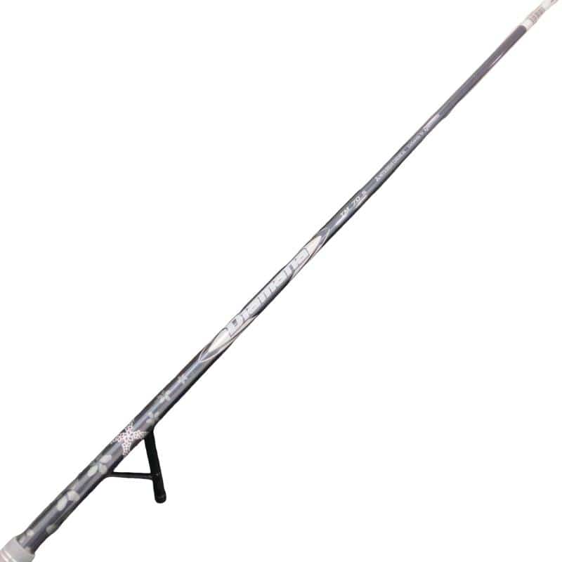 �p���R�T�@�t�S