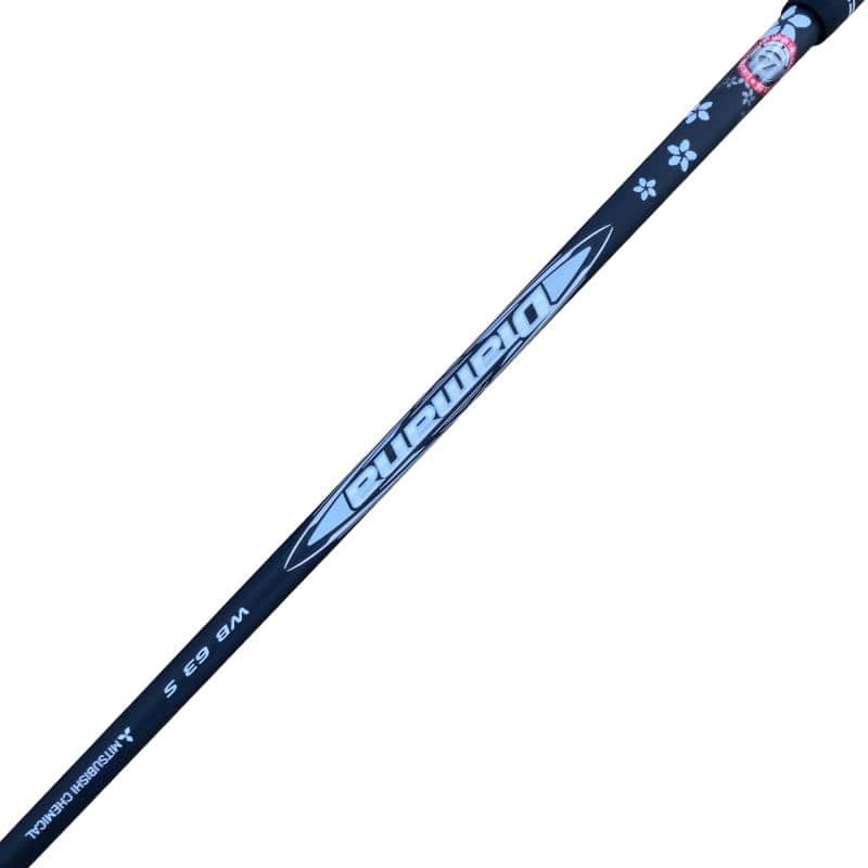 �p���P�O�@�T�v