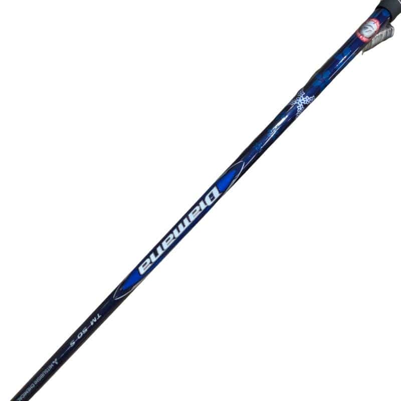 �p���P�O�@�T�v