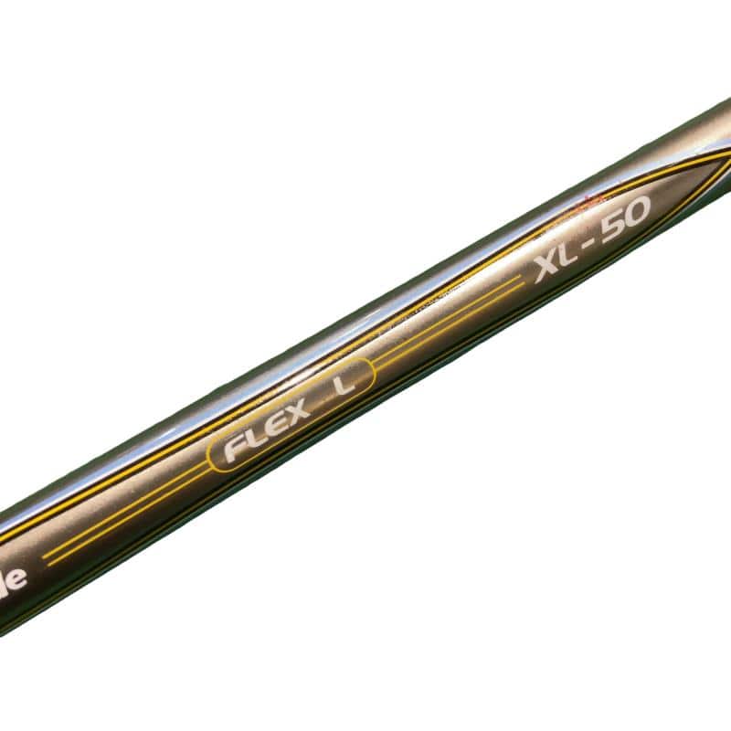 ���T�@�w�k�@�e�v�@�T�v�@���f�B�[�X