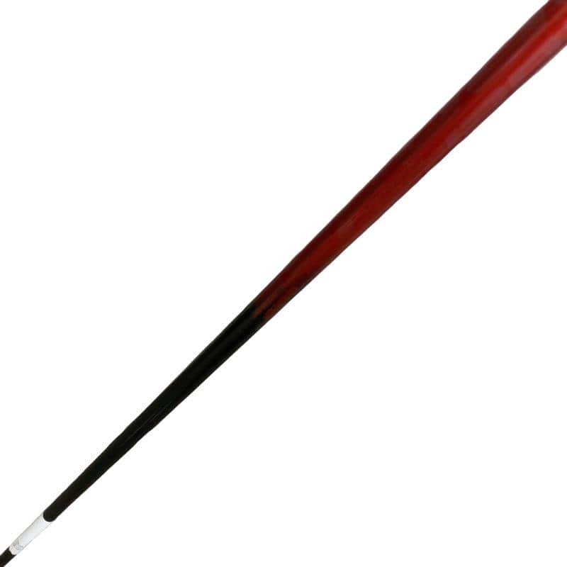 �X�P�T�@�e�@�T�v