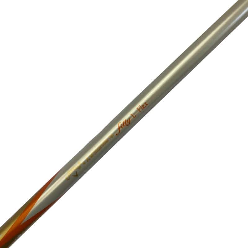 �����������i�Q�O�P�T�j�@�T�g�@���f�B�[�X