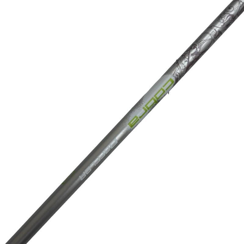�a�������������@�s�|���������@�g�@�V�^�g�@���f�B�[�X