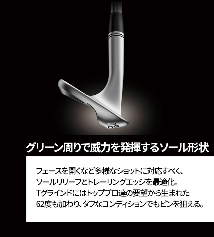 PING s GLIDE FORGED PRO EFbW S T NS PRO 950GS Dynamic Gold S200